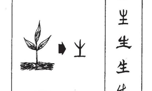 气垫粉底液跟粉底液有什么区别-气垫粉饼和普通粉饼有什么区别-专业气垫粉饼和普通粉饼有什么区别呢平台-气垫粉饼和普通粉饼有什么区别呢